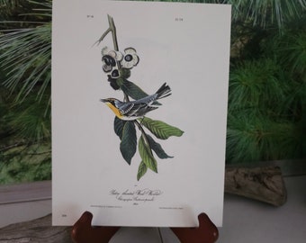 Audubon Warbler Bookplate: Double Sided Vintage Bird Print