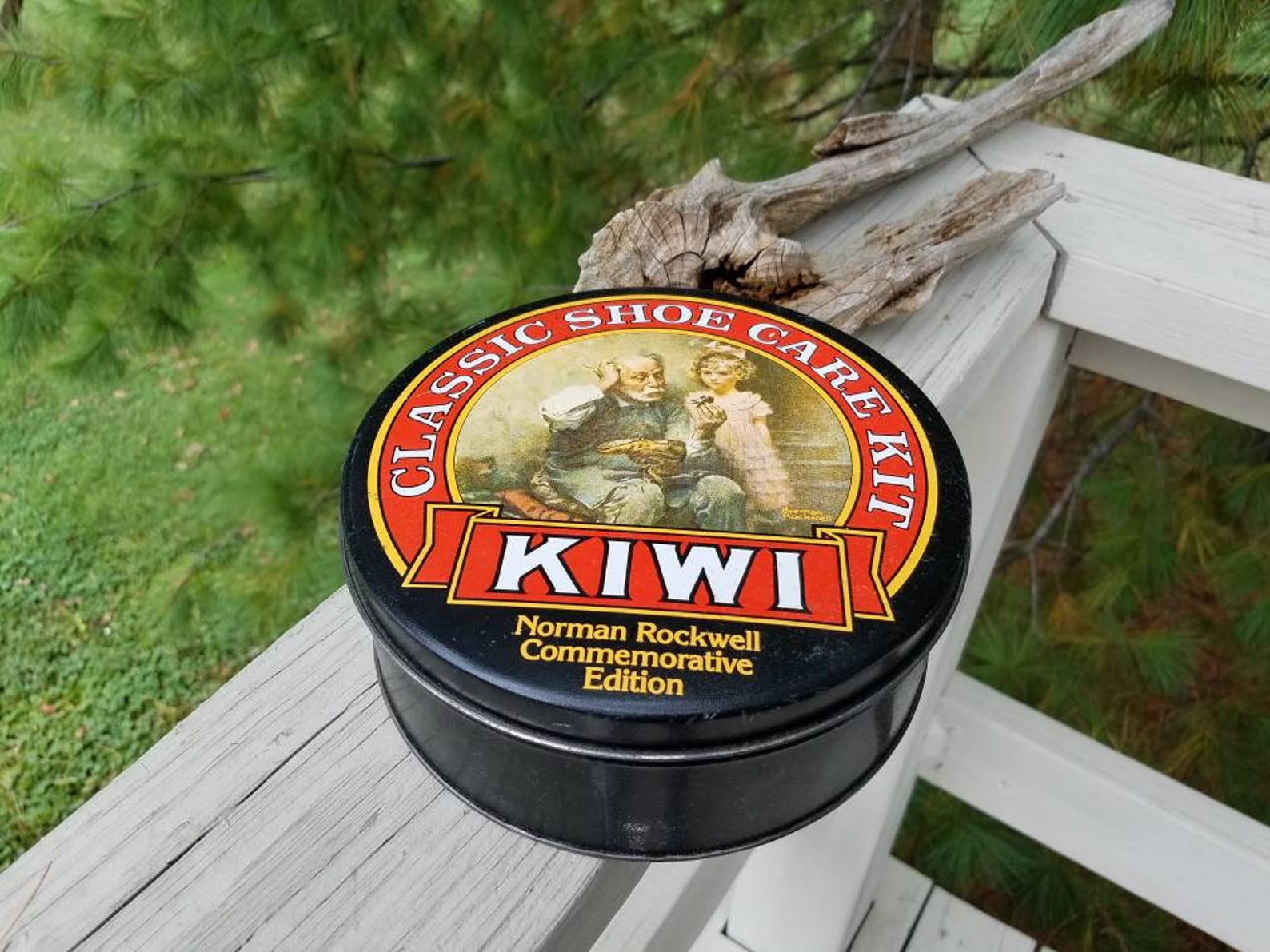 kiwi shoe care kit
