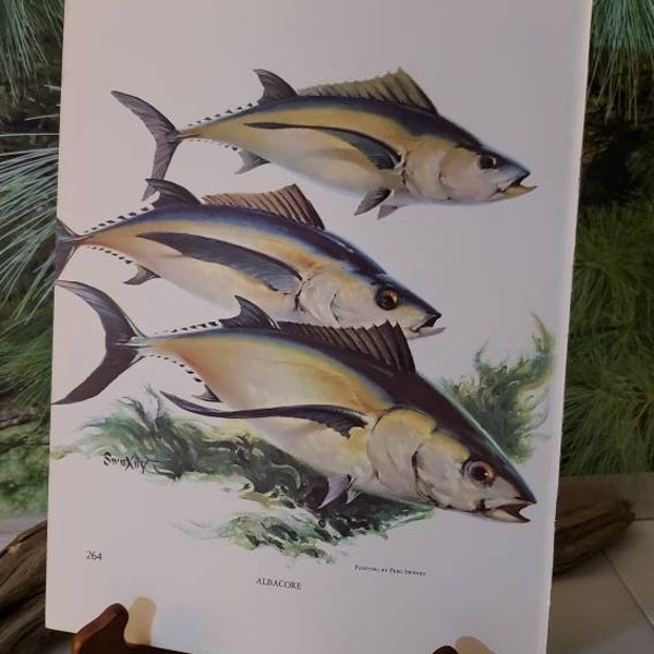 Fred Sweney Weakfish & Albacore Signed Bookplate / Vintage Color Fish Art Wall Decor Gift For Him