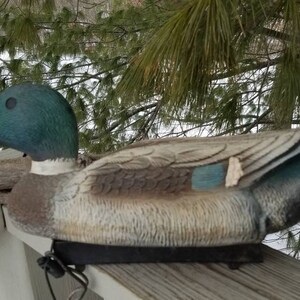 May include: A realistic-looking green and brown duck decoy with a black strap. The decoy is made of plastic and has a detailed paint job. It is sitting on a wooden surface.