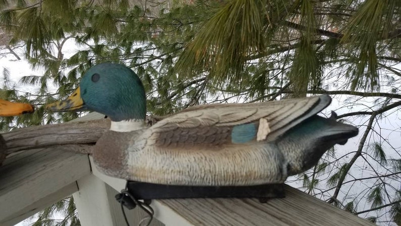 May include: A realistic-looking green and brown duck decoy with a black strap. The decoy is made of plastic and has a detailed paint job. It is sitting on a wooden surface.