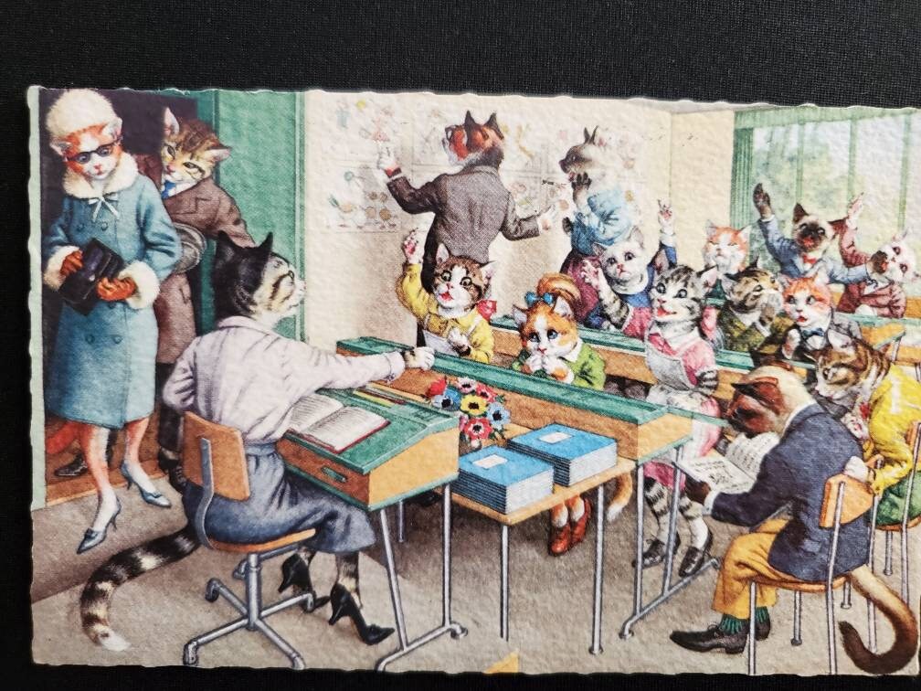 Alfred Mainzer Cats in a Classroom Postcard / Printed in Belgium