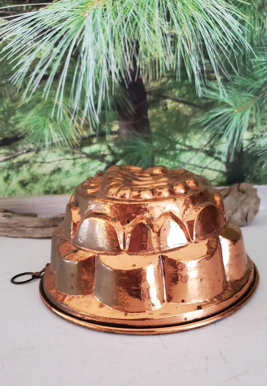 Antique Copper Aspic Mold Raised Scorpion Design Tin Lined Vintage