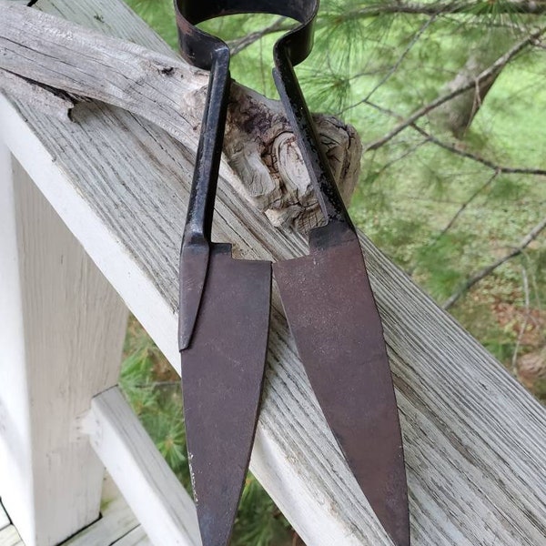 Old Metal Sheep Shears Black Chippy Paint / Vintage Farm Tool, Farm Supply Sheep Shears  #1162