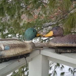 May include: Two realistic-looking duck decoys, one green and brown and the other brown, are positioned on a wooden railing. The decoys are facing each other, with their heads tilted slightly. The decoys are used for hunting or decoration.
