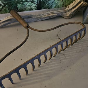 May include: A vintage hand rake featuring a weathered wooden handle attached to a wide, curved metal head with multiple long, pointed tines. The metal components exhibit a faded blue finish with visible signs of rust and wear throughout the frame.