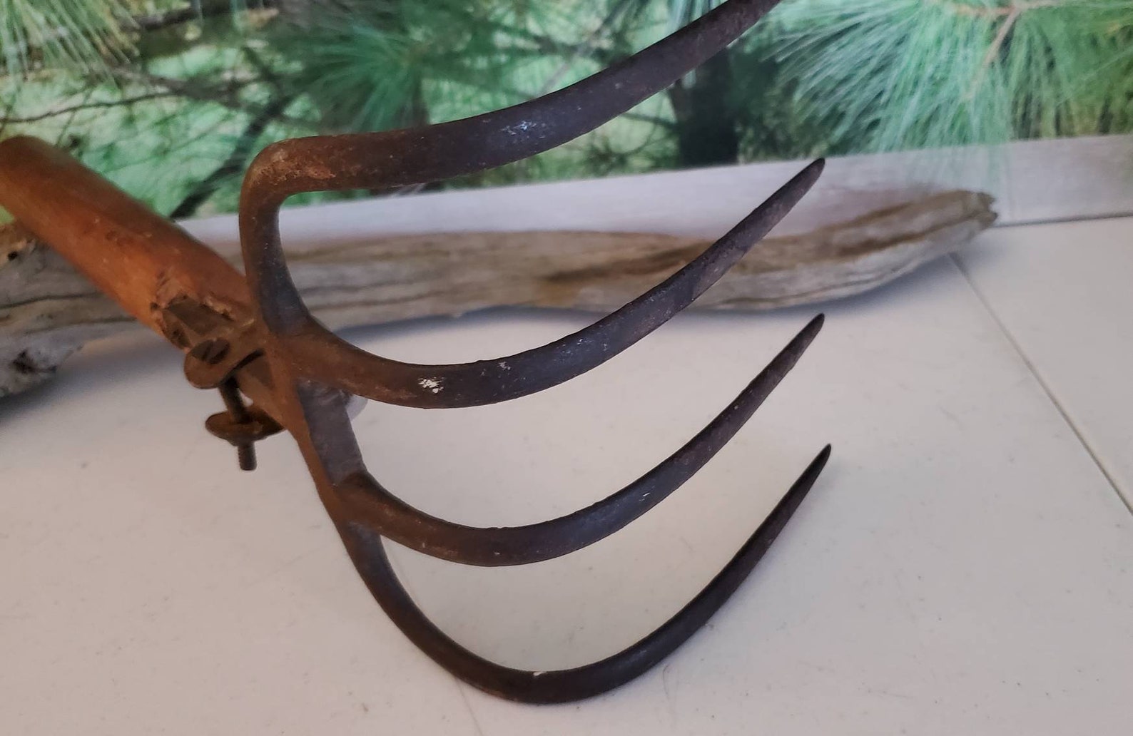 4 Tine Curved Pitchfork/cultivator Head Cast Iron With Cut off Etsy