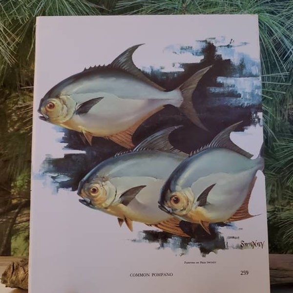 1970 Fred Sweney Common Pompano Signed Bookplate Vintage Color Fish Art Wall Decor  #259/260