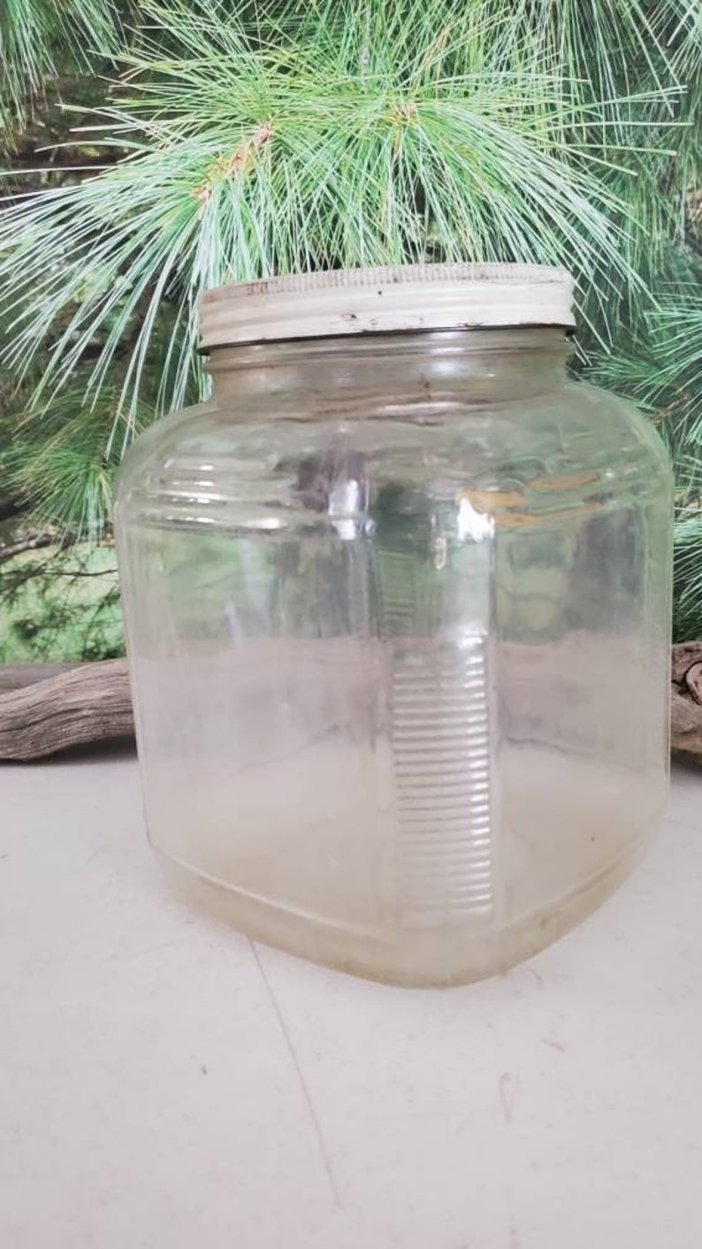 May include: A clear glass jar with a white lid. The jar has a square shape and a textured surface.