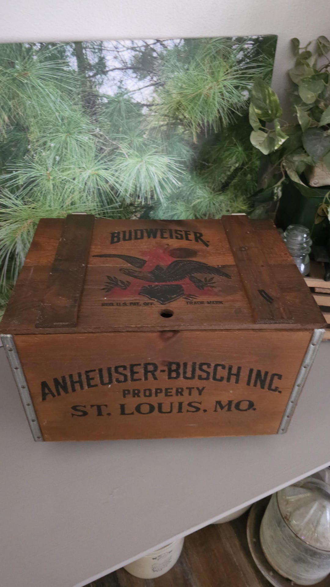 Anheuser Busch 1876 - 1976 Wood Beer Crate With Hinged Lid