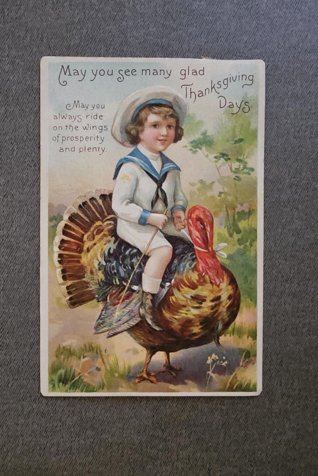 Embossed Thanksgiving Postcard: Boy Riding Turkey, Vintage Ephemera - Etsy