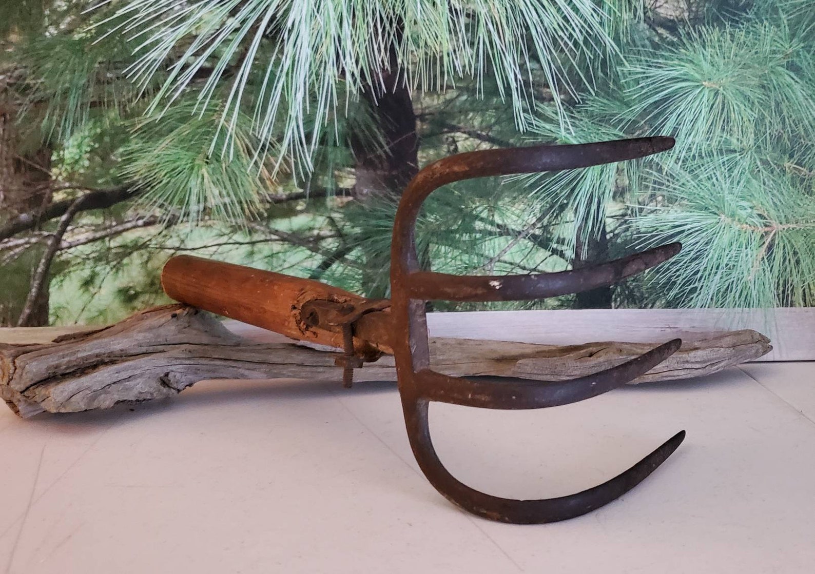 4 Tine Curved Pitchfork/cultivator Head Cast Iron With Cut off Etsy