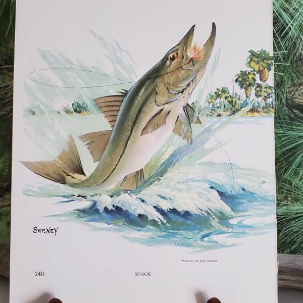 Fred Sweney Snook & Blue Marlin Double Sided Signed Bookplate / Vintage Color Fish Art Wall Decor Gift For Him