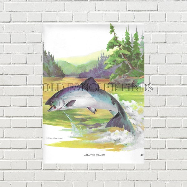 Fred Sweney Atlantic Salmon Digital Download of 1972 Signed Book Plate / Instant Download Printable Fish Art