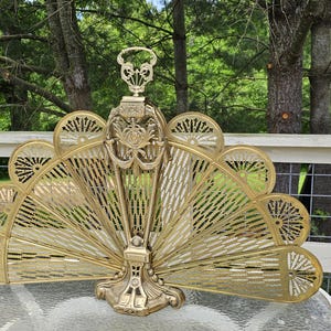 May include: Ornate brass fireplace screen with a fan-like design. The screen features intricate cut-out patterns and a decorative top handle. The brass has a warm, golden hue, and the screen is set against a natural outdoor backdrop.