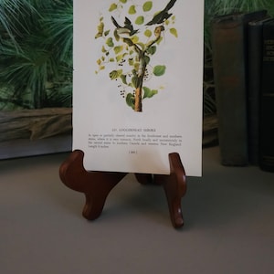 May include: A vintage illustration of a Loggerhead Shrike perched on a branch with berries. The illustration is printed on a white card with text describing the bird's habitat and size. The card is displayed on a wooden easel.