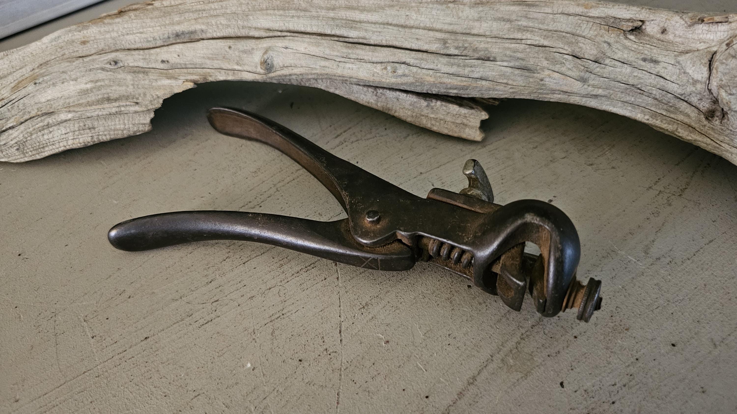 Morrill Hand Tools Antique Morrill's Brand Saw Set Tool #4955RY - Etsy
