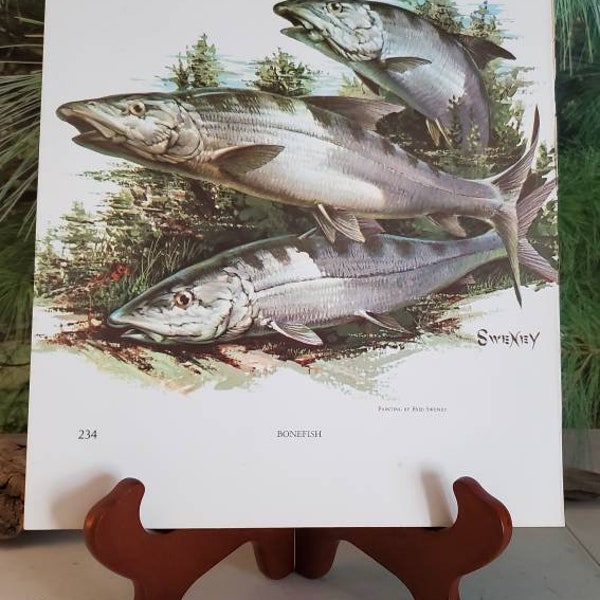 1970 Fred Sweney Bonefish & Broadbill Swordfish Signed Bookplate Vintage Color Fish Art Wall Decor  #233/234