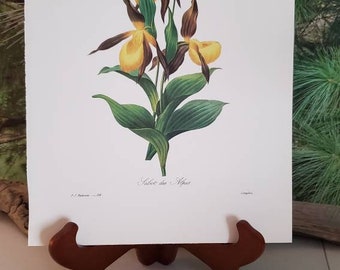 Lady Slipper Orchid P. J. Redoute Flower Rose Book Plate 134 Floral Book Plate Frameable Wall Art Gift For Her Art Deco Home Decor