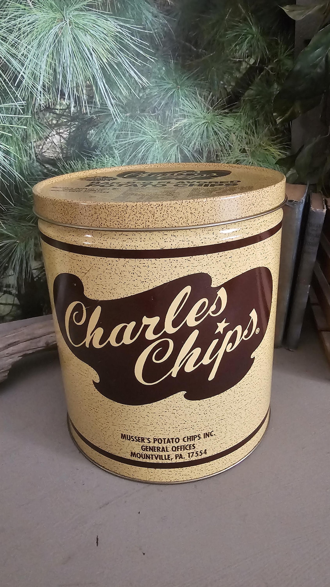 Brown & Beige Charles Chips Bar-b-q Flavored Potato Chip Can Vintage ...