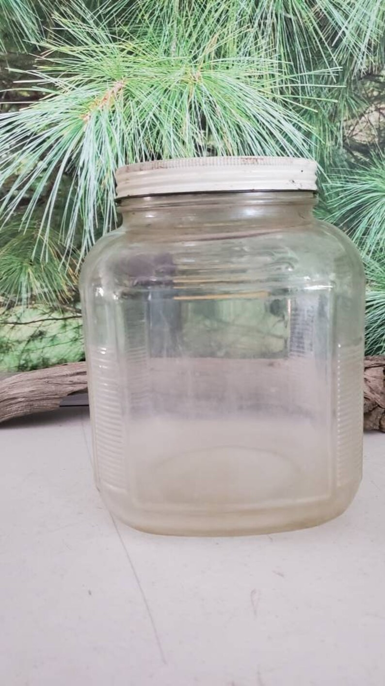 May include: A clear glass jar with a white lid. The jar has a textured surface and is empty.
