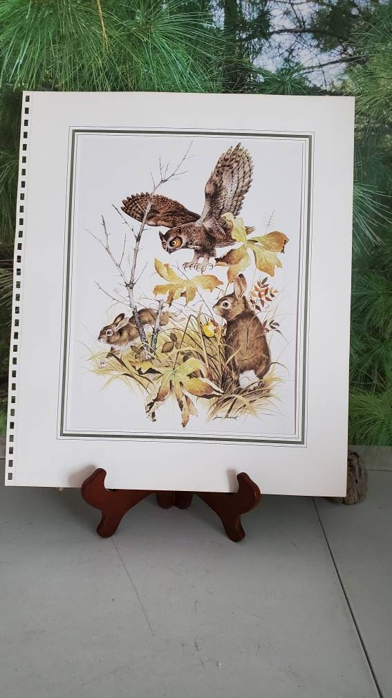 1967 Large James Lockhart Owl & Rabbits Bookplate 17 5/8 Inches X 14 7/8 Inches Vintage Matted L