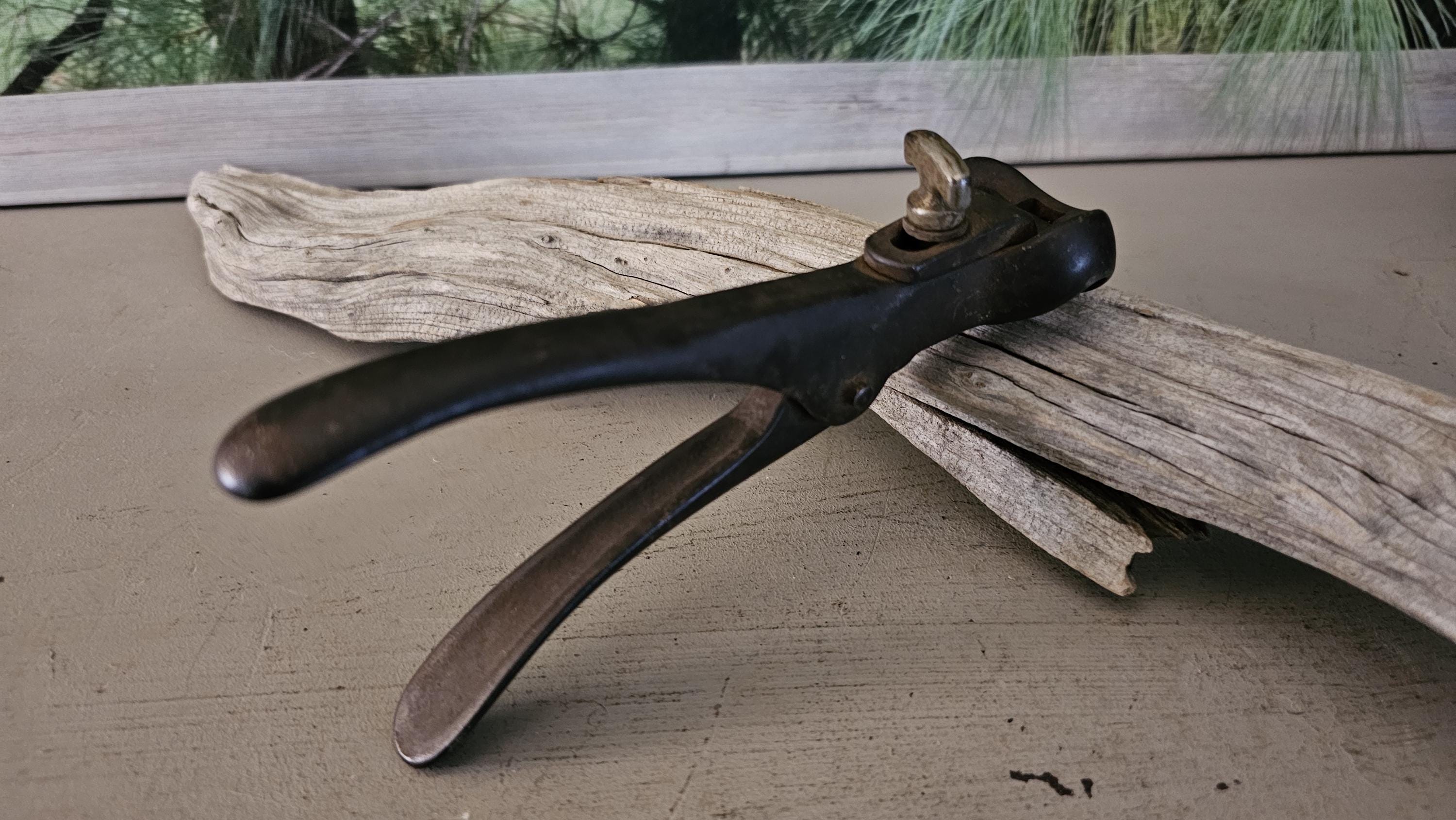 Morrill Hand Tools Antique Morrill's Brand Saw Set Tool #4955RY - Etsy