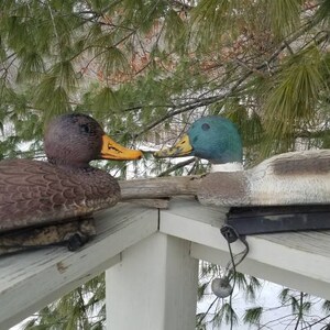 May include: Two realistic-looking duck decoys, one brown and one with a green head and brown and white body, are positioned on a wooden railing. The decoys are facing each other.