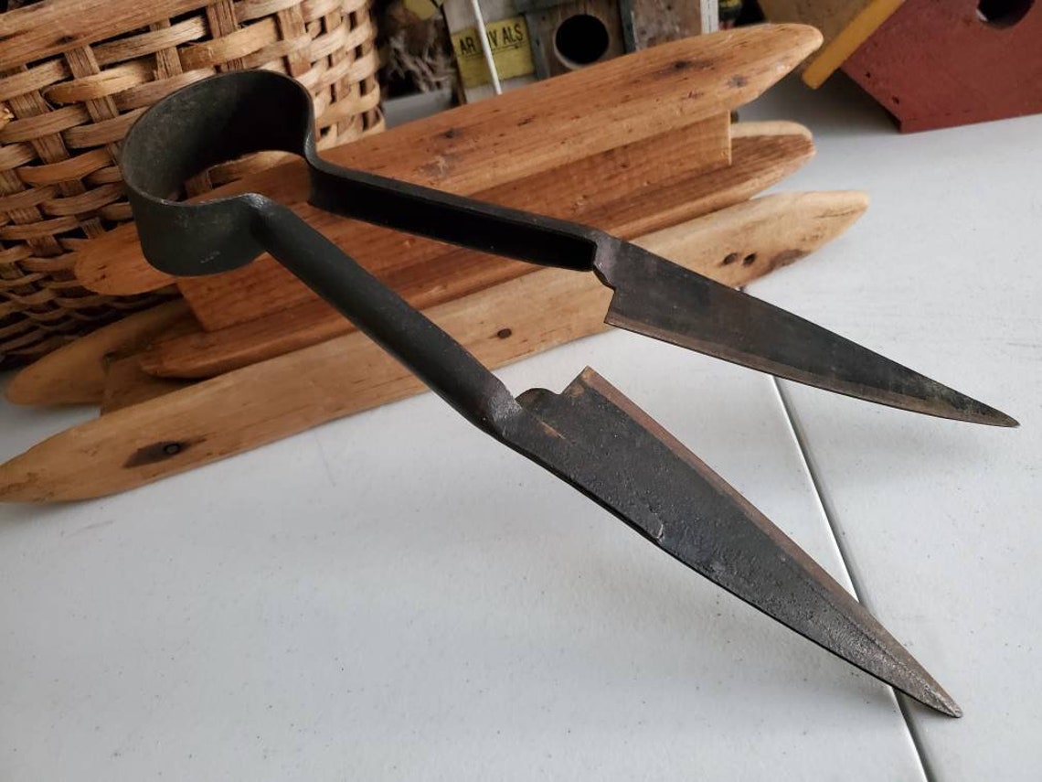 Old Metal Sheep Shears Vintage Farm Tool Farm Supply Sheep Etsy