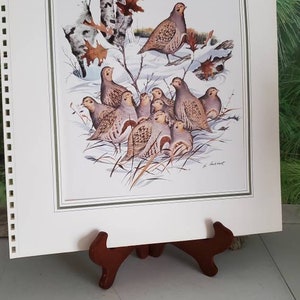 Vintage Common Quail Lithograph Bookplate - James Lockhart, 1967