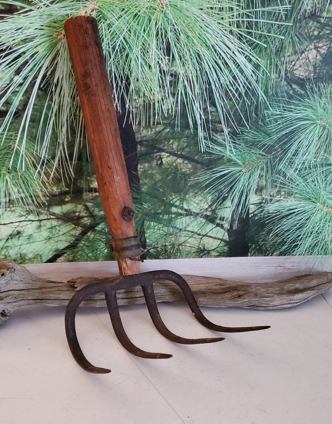 4 Tine Curved Pitchfork/cultivator Head Cast Iron With Cut off Etsy