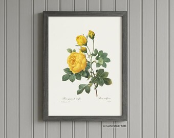 Vintage Sulfur Yellow Rose Print, P.J. Redoute Botanical Art, Bookplate 128  (Frame Not Included)