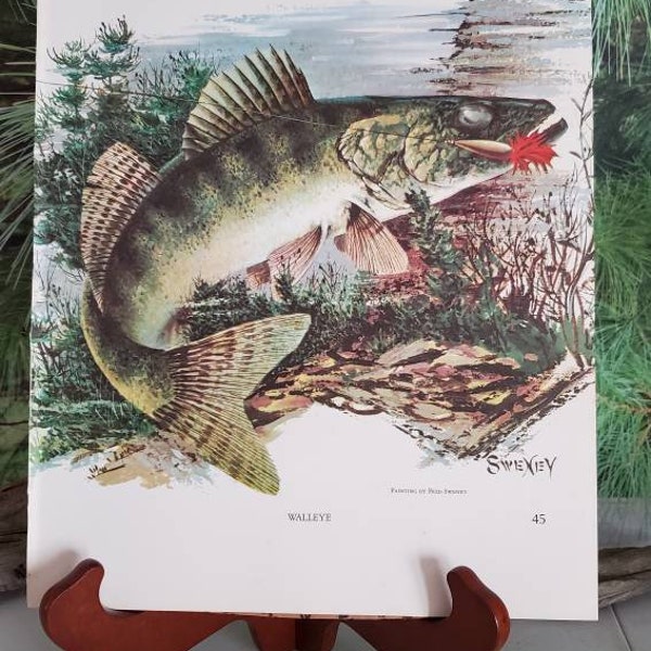 Fred Sweney Walleye & Yellow Perch 1972 Signed Double Sided Book Plate / Vintage Color Fish Art  #2589