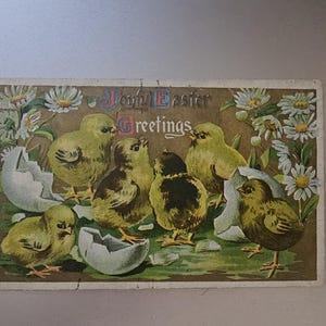 Joyful Easter Greetings Postcard Chicks Hatched From Eggs Antique Easter Postcard Collectible Ephemera