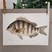 Poisson Dessin Original - Photos : téléchargez gratuitement des images