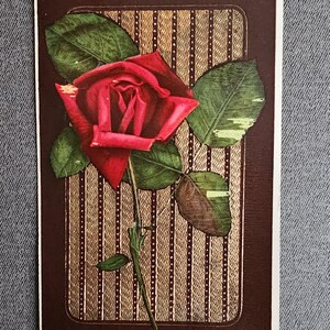 Red Rose Best Birthday Wishes Postcard Embossed Printed in Germany Collectible Ephemera Postcard