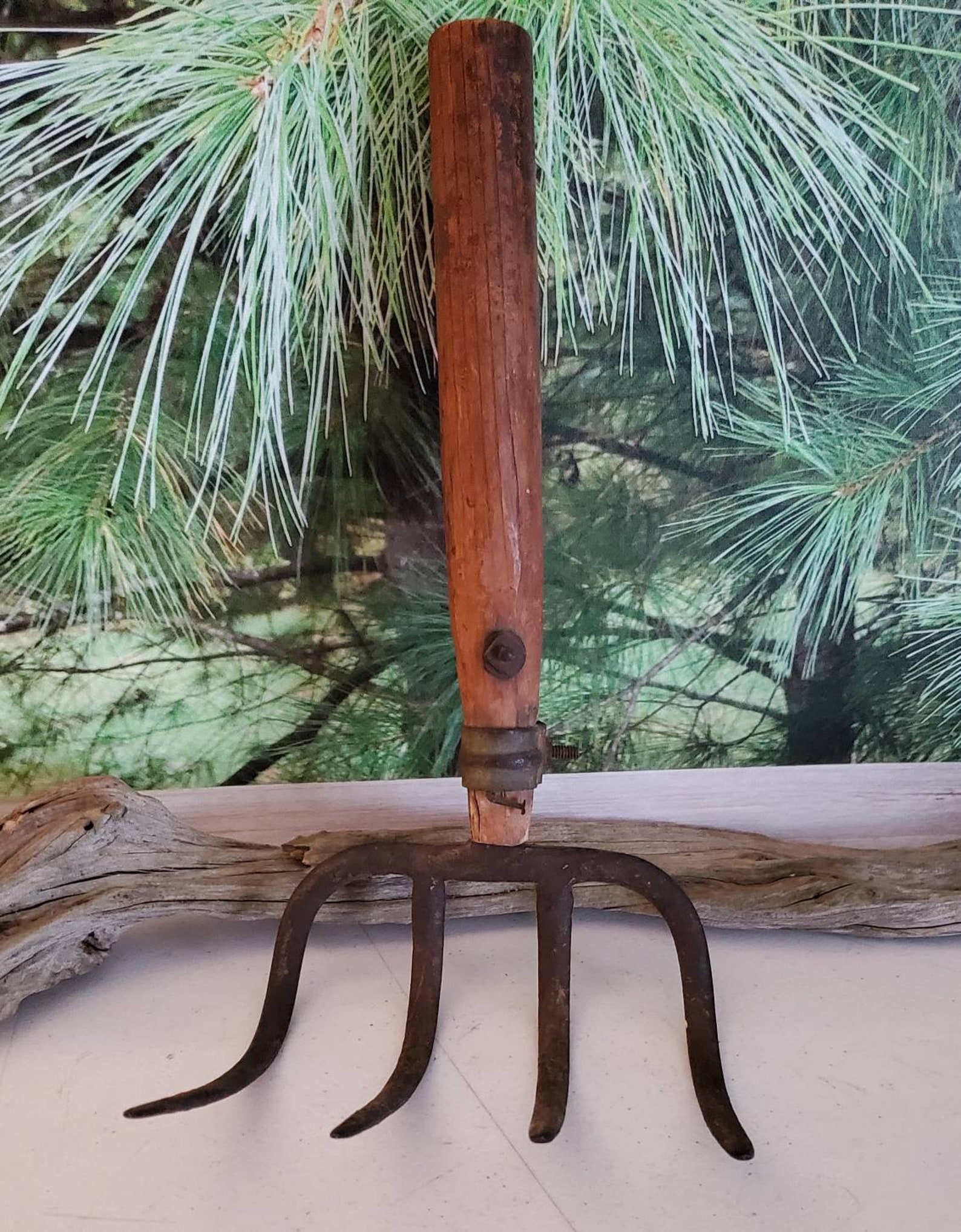 4 Tine Curved Pitchfork/cultivator Head Cast Iron With Cut off Etsy