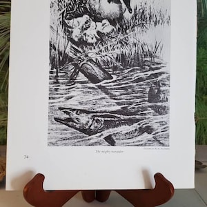 May include: A black and white illustration of a large fish swimming in a river. A goose and its goslings are in the background.