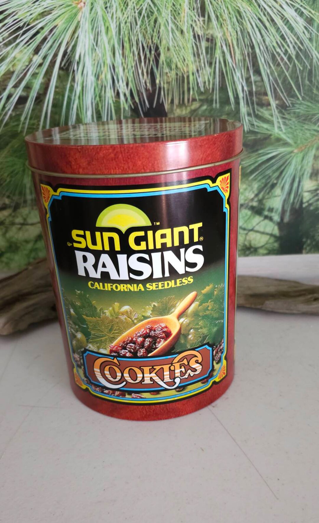 1980s Sun Giant Raisins Cookie Tin Black, Green, Yellow & Orange Retro ...
