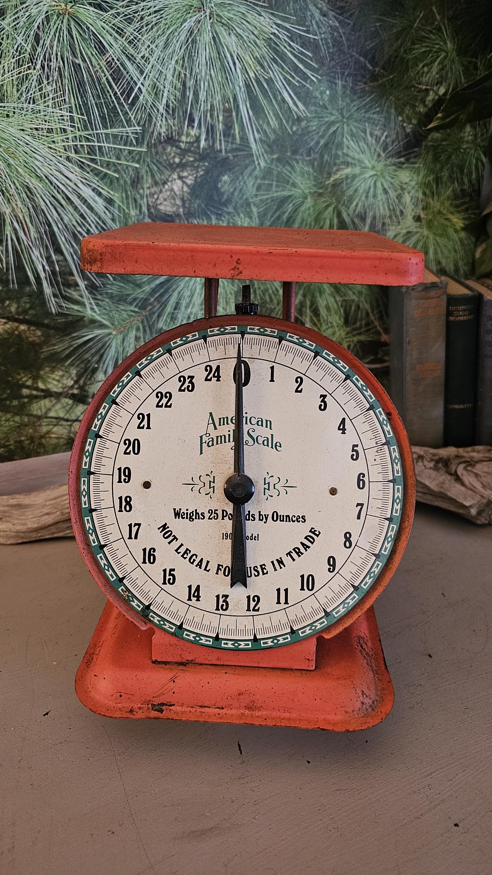 1950s Orange-red American Family Scale With Black Needle Numbers