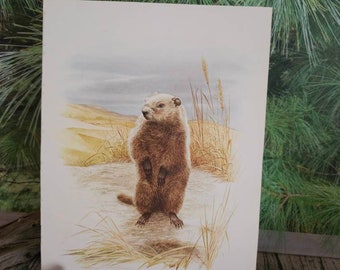 Woodchuck or Groundhog Nature Print Severt Andrewson Original Wildlife Bookplate 1976 Frameable Wall Art Vintage Home Decor   #3212