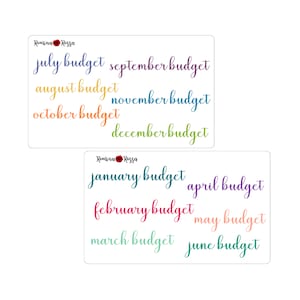 Monthly Budget Script Stickers - Erin Condren Colors & Black | Planner Stickers