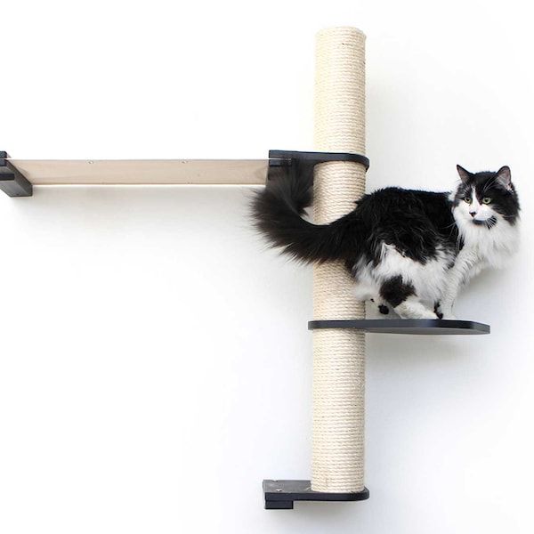 Cat Hammock, Cat Wall Furniture, Cat Scratching Post, Cat Tree, Modern Cat Furniture, Cat Shelf, Cat Bed, Cat Tower, Cat Wall, Cat Scratcher