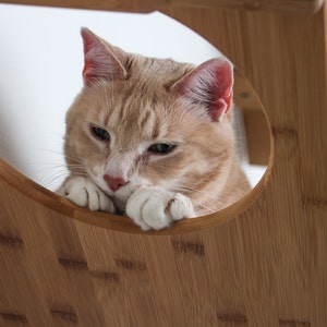 Cat Hammock, Cat Wall Furniture, Cat Scratching Post, Cat Bed, Cat Tree, Cat Shelf, Modern Cat Furniture, Cat Wall, Cat Shelves, Cat Tower image 2