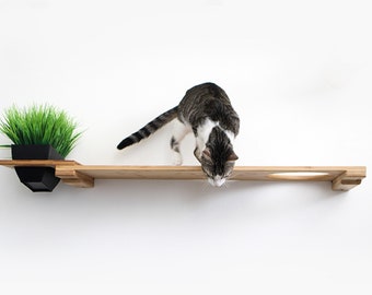 Cat Escape Hatch Shelf, Wall Mounted Cat Shelf, Cat Wall Shelves, Cat Planter, Cat Wall Furniture, Cat Escape Hatch, Cat Shelves, Cat Shelf