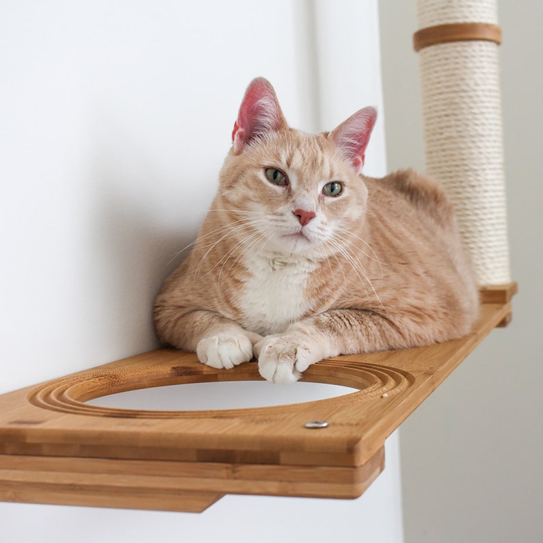 Cat Hammock, Cat Wall Furniture, Cat Scratching Post, Cat Bed, Cat Tree, Cat Shelf, Modern Cat Furniture, Cat Wall, Cat Shelves, Cat Tower image 3