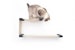 Double Decker- Cat Hammock Cat Climbing Furniture Cat Wall Mounted Furniture Cat Bed Cat Shelf Cat Tower Cat Toy | Catastrophic Creations 