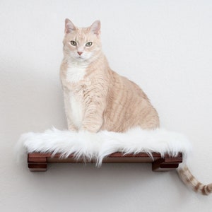 Cat Shelf With Plush Bed 18 Cat Shelf Cat Wall Mounted Shelf Cat Shelves Cat Climb Cat Home Activity Cat Bed Catastrophic Creations image 2