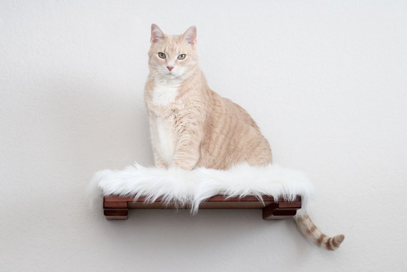 Cat Shelf With Plush Bed 18 Cat Shelf Cat Wall Mounted Shelf Cat Shelves Cat Climb Cat Home Activity Cat Bed Catastrophic Creations image 2