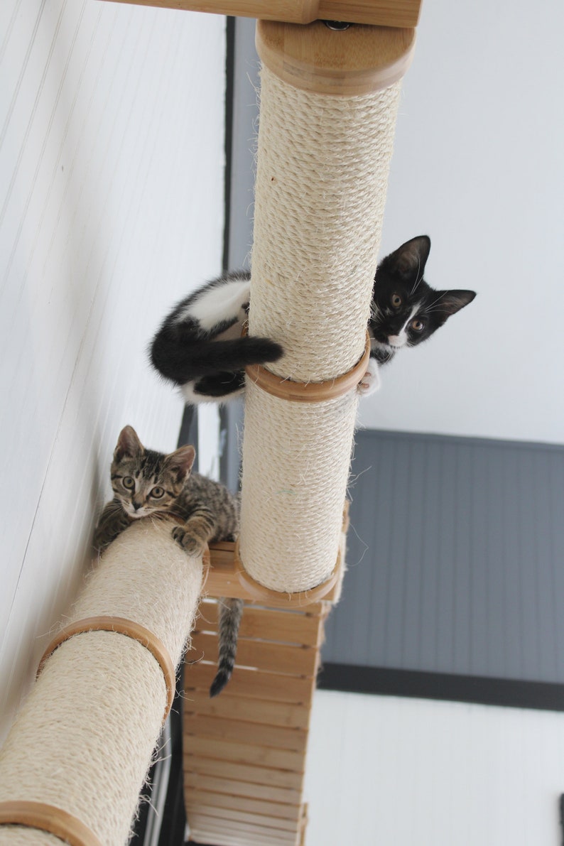 Cat Scratching Pole, Wall Mounted Cat Furniture, Angled Pole, Cat Wall Scratcher, Cat Scratching Furniture image 7